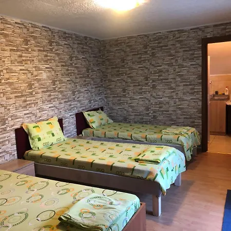 Vila Dana Agigea