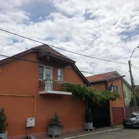 Vila Dana Agigea